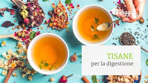 Immagine di piante medicinali per la digestione