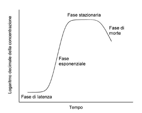Curva di crescita neonatale