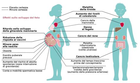 Effetti positivi dei probiotici sulla salute riproduttiva