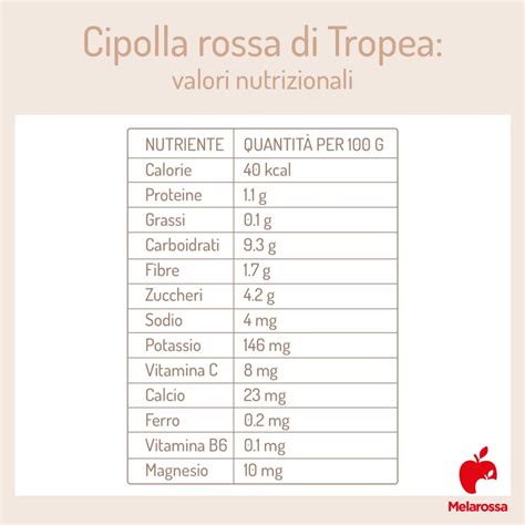 infografica che elenca le proprietà nutrizionali e bioattive della radice di ginseng