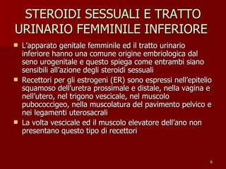 rappresentazione schematica dell'anatomia del tratto urogenitale femminile
