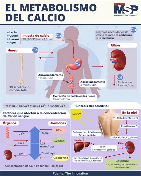 Schema illustrativo del metabolismo del calcio durante la lattazione e dei rischi di ipocalcemia
