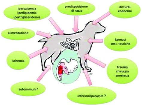Schematizzazione dei fattori che generano paura in una candid camera in ascensore