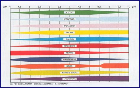 Tabella disponibilità nutrienti in base al pH