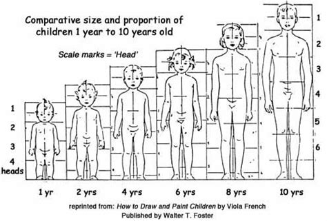 Proporzioni corpo bambina semplificate