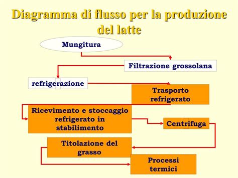 Schema della ghiandola mammaria e del processo di produzione del latte