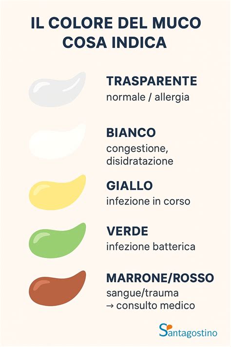 Immagini illustrative dei diversi tipi di muco cervicale durante il ciclo