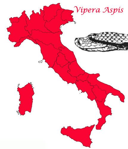 Mappa della distribuzione della Vipera ammodytes in Europa