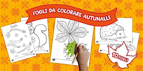 una collezione di fogli da colorare con figure femminili di vari stili