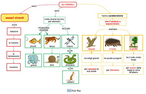 mappa concettuale che illustra vari tipi di animali e la loro strategia invernale