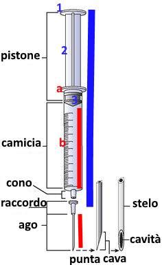 Preparazione di una siringa per iniezione
