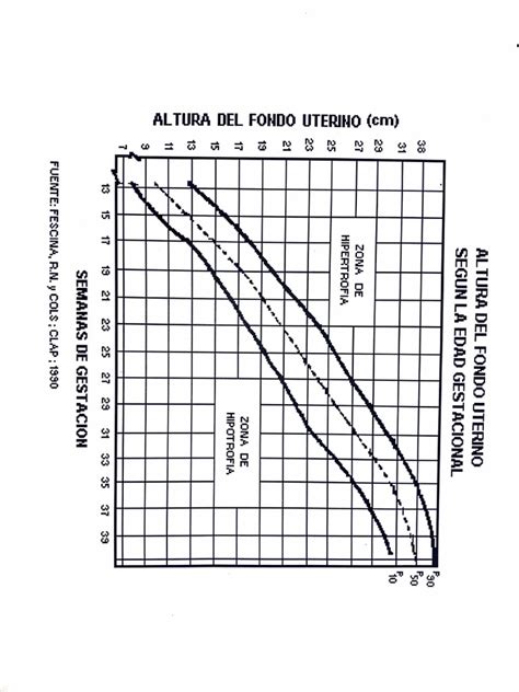 diagramma che mostra la progressione dell'altezza del fondo uterino durante i 9 mesi