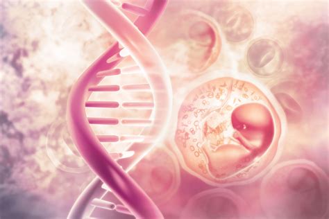 DNA fetale che circola nel sangue materno