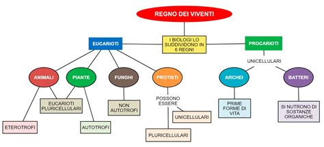 Mappa concettuale che illustra le diverse aneuploidie rilevabili con il NIPT