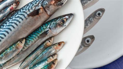 pesce azzurro