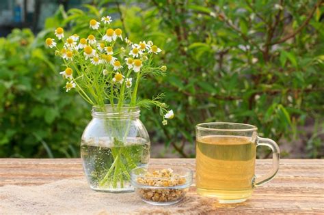 Tazza di camomilla con fiori di Matricaria Chamomilla