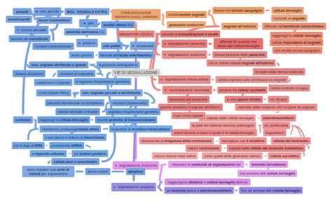 Schema che illustra la desensibilizzazione eterologa tra due vie di segnalazione