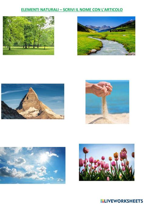 partitura musicale con elementi naturali