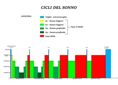 Grafico fasi del sonno