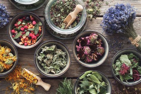Piante officinali utilizzate per la salute femminile
