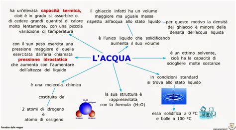 rappresentazione molecolare dell'acqua e sua importanza per le cellule umane