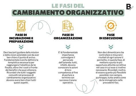 diagramma concettuale sulle fasi del cambiamento psicologico nei sogni