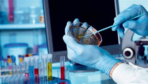 Laboratorio di analisi microbiologiche