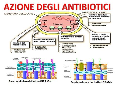 Pulsante per la somministrazione di antibiotici endovenosi
