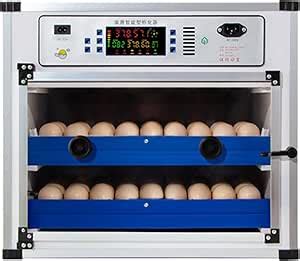 Incubatrice con display temperatura e umidità