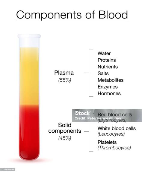 Infografica: Componenti del Test Combinato