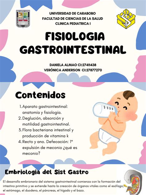 rappresentazione stilizzata del sistema digestivo del neonato
