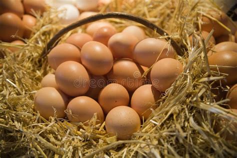 Uova fresche in un cesto