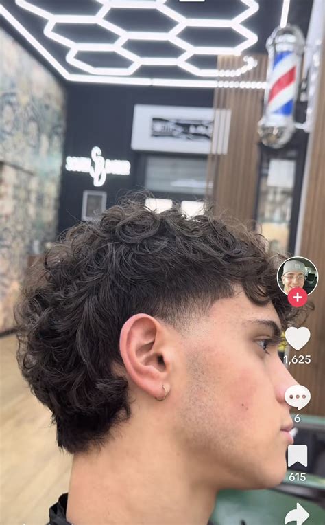 Mullet riccio moderno