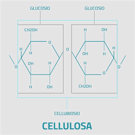 Simbolo di cellulosa ecosostenibile