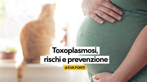 Rischi toxoplasmosi in gravidanza per epoca gestazionale