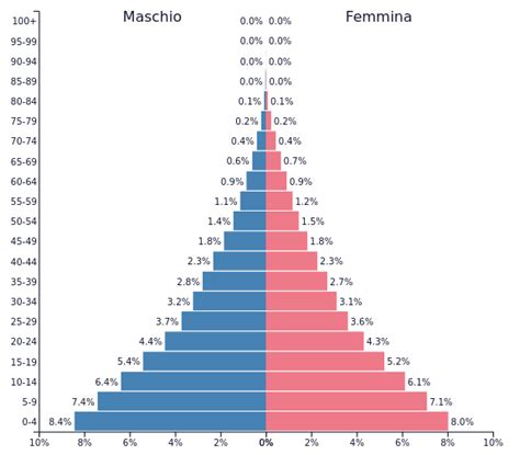 Esempio di piramide della popolazione regressiva