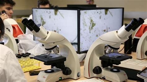tecnologie all'avanguardia in un laboratorio di PMA, con microscopi e incubatori