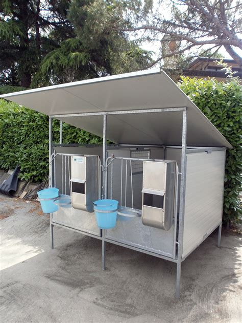 vitelli in box singoli puliti e spaziosi