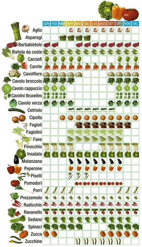 Varietà di frutta e verdura fresca di stagione