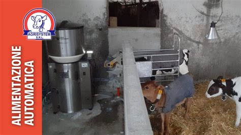 Allattatrice automatica in funzione con capretti