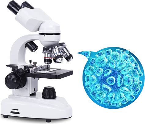 Microscopio con embrioni in laboratorio