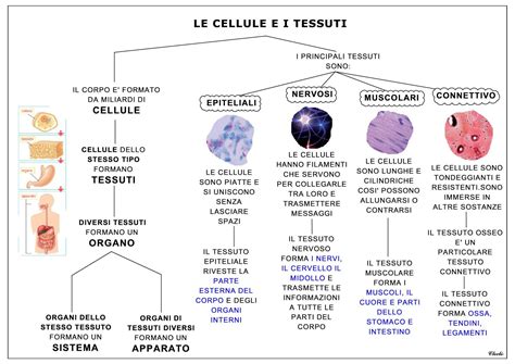 Dettaglio della pulizia facile del tavolino e del tessuto del Cam Smarty Pop
