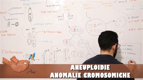 Infografica sulle aneuploidie cromosomiche