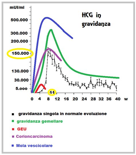 Curva Beta-hCG in gravidanza