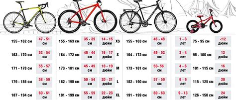 Schema comparativo dimensioni ruote biciclette per bambini