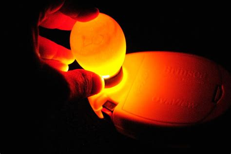 Attrezzatura per la speratura delle uova