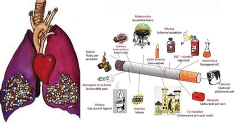 Infografica sugli effetti nocivi del fumo sulla salute riproduttiva