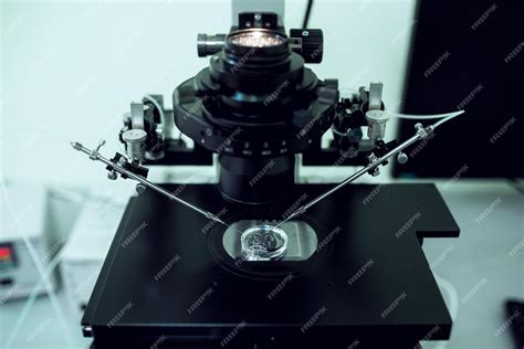 Microscopio in laboratorio FIV
