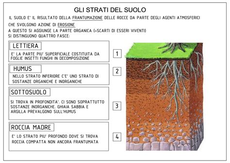 Struttura del suolo con i suoi componenti