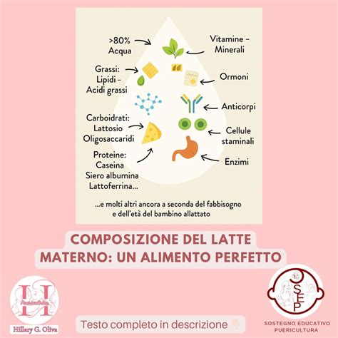 Infografica che mostra la trasmissione di anticorpi dal latte materno al neonato